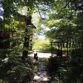 ペンション MOON LIGHT（山梨県 ペンション） / 3