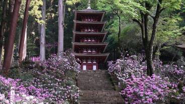 観光スポット / 6