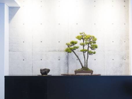 鉛温泉 藤三旅館 別邸 心の刻 十三月 / 2