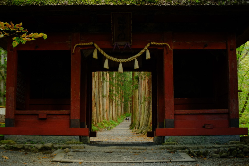 旅のスタートは、戸隠の一番奥　「戸隠神社奥社」39022