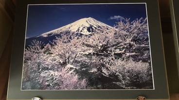 内装の詳細 / 15