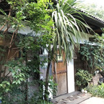 埼玉にひっそり佇む「うえき屋カフェ272」で素敵なお庭を楽しもう♪