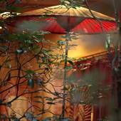 由布院温泉 旅館 めばえ荘（大分県 旅館） / 2