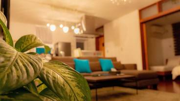 リビングルーム / 7