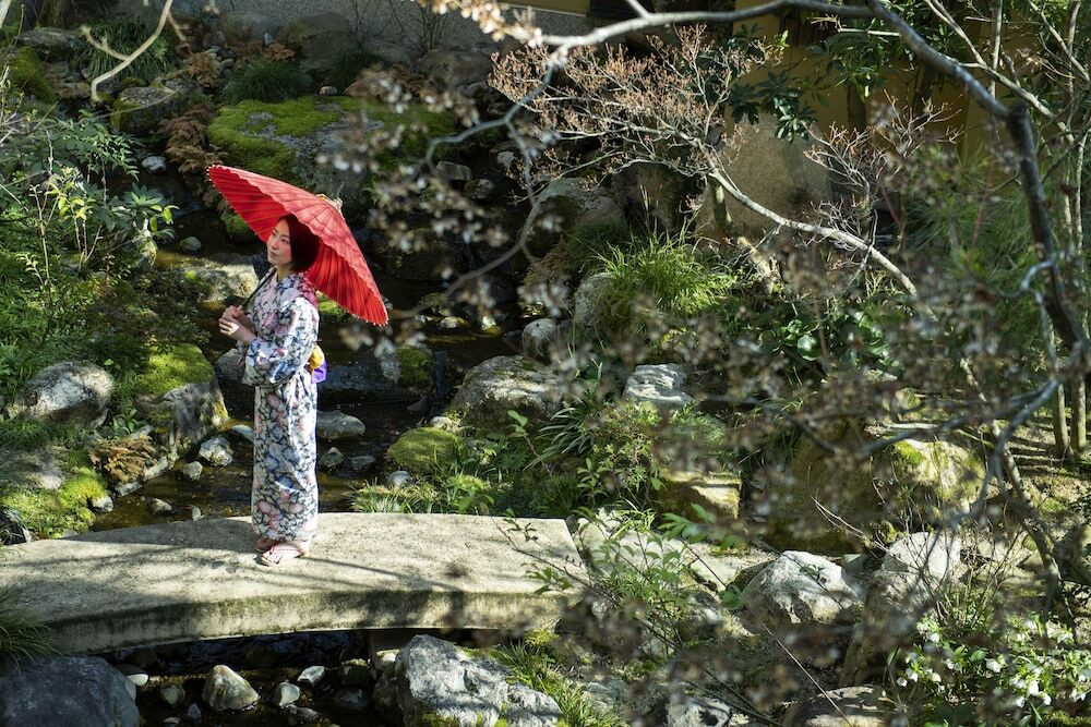 メイン イメージ
