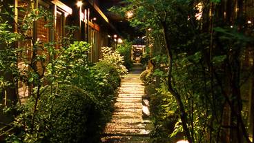 庭園へ続く細道 / 8