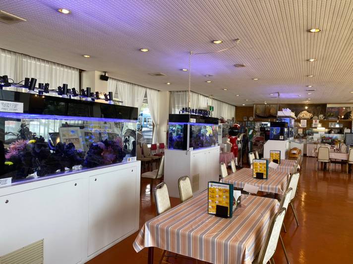 ノスタルジック♪
ドライブイン / 3