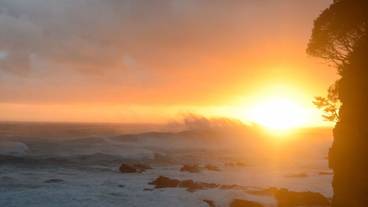 施設の敷地 / 13