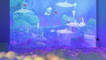 子供用の遊び場 - 屋内 / 18