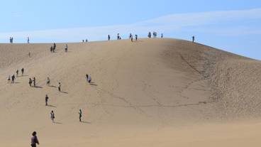 観光スポット / 5