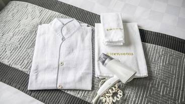 客室の設備とサービス / 32