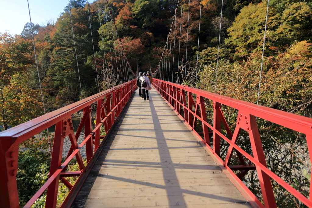 4.神秘的な森の中でリフレッシュ「抱返り渓谷」/秋田県1680513