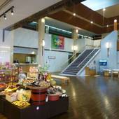 ホテル ピコ ラナイ えびの高原（宮崎県 リゾートホテル） / 3