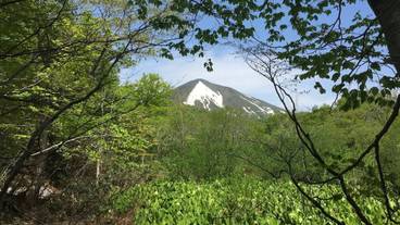 マウンテン ビュー / 22