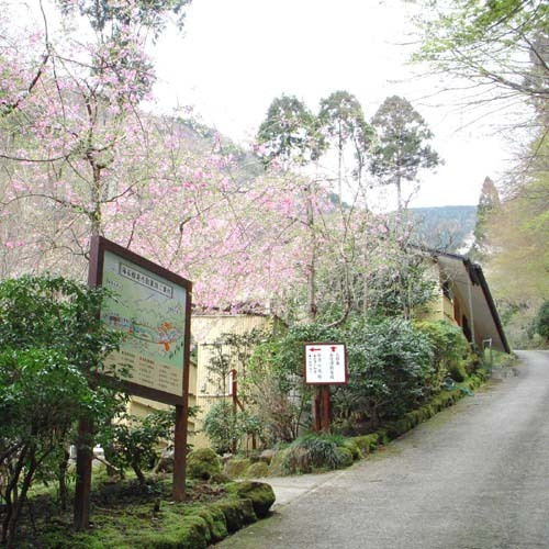 散策路の入口(春)