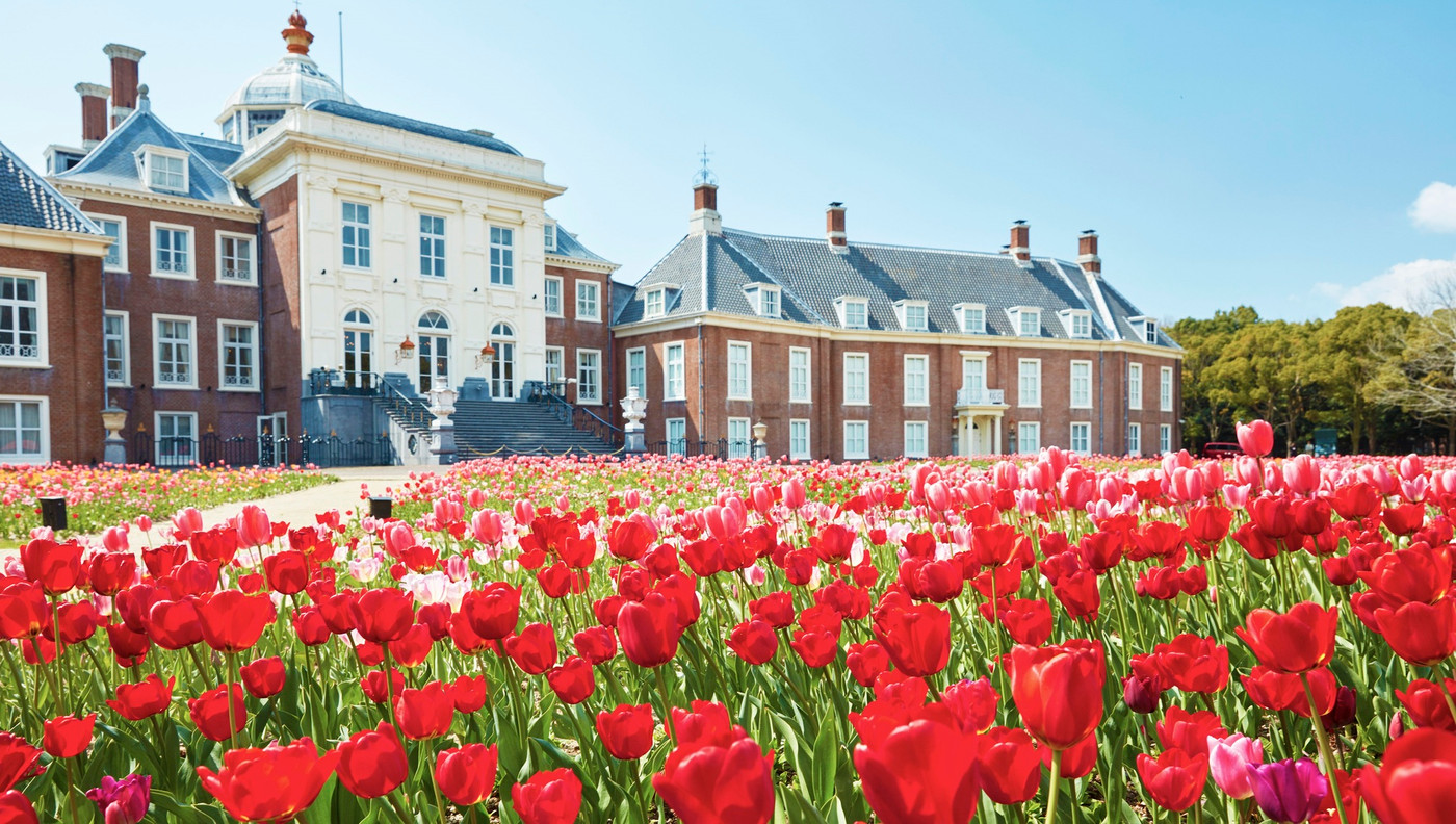 日本最多の700品種が宮殿を彩る「パレス ハウステンボス」2002873