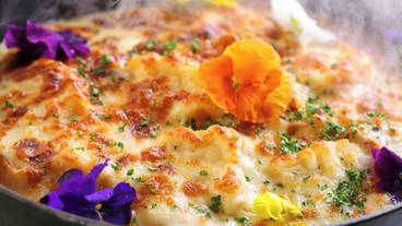 食事・飲み物 / 11