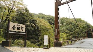 金乃竹 塔ノ澤(キンノタケ トウノサワ) / 1