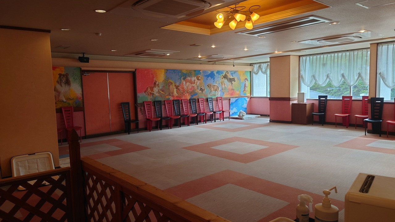 屋内ドックラン