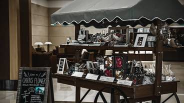 リビング エリア / 12