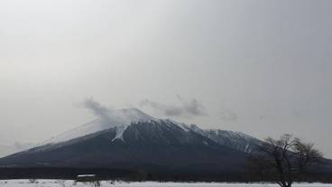 マウンテン ビュー / 11