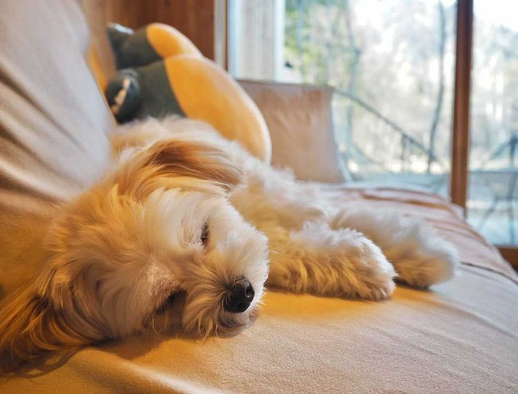 nicomaru1219さんの写真 / 1