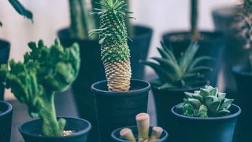 内部エントランス / 3