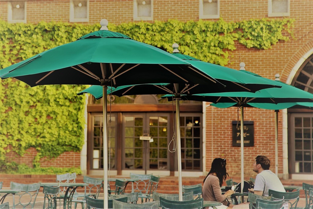 宿泊は2人きりをロマンチックに過ごせるホテル&旅館で♡3479443