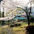 村杉温泉 風雅の宿 長生館
