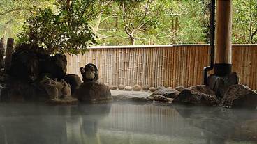 天然プール / 22