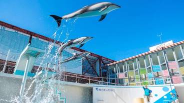 観光スポット / 8