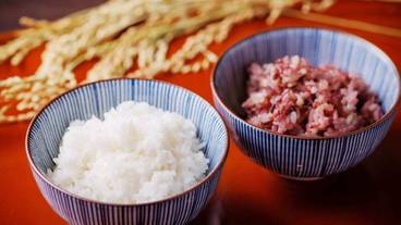 レストラン / 16