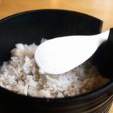 山薬(ヤマグスリ)