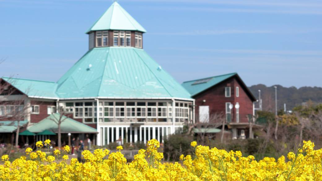 道の駅に寄りつつ
南房総をドライブ / 1