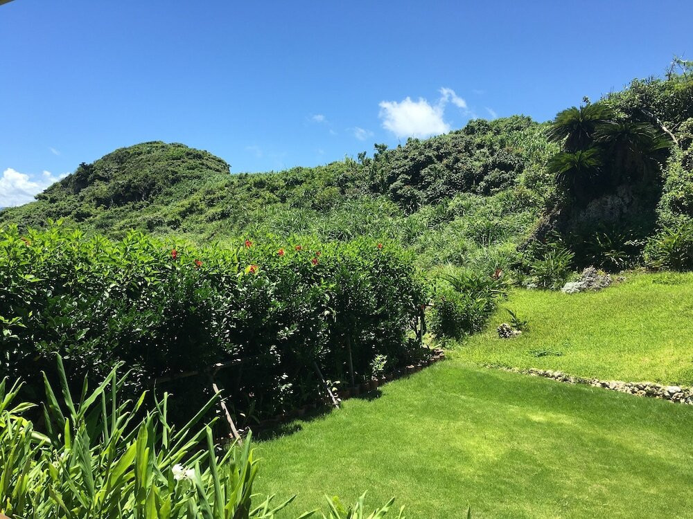 ラ カシータ古宇利（ラ カシータコウリ） / 3