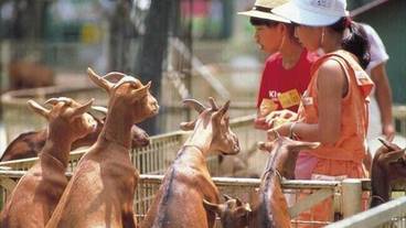 観光スポット / 22