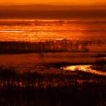 染まりゆく光の中に佇む「釧路湿原」の絶景＆おすすめグルメ