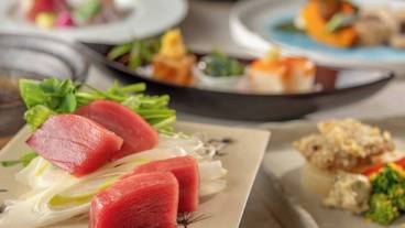 食事・飲み物 / 23