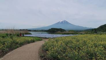 ランド ビュー / 19