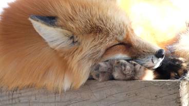 観光スポット / 5