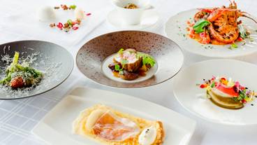 「ソルビエ」料理 / 1