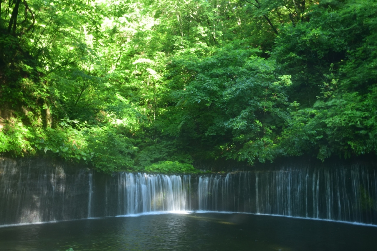 ワンちゃんにも優しい軽井沢でリフレッシュ旅3926275
