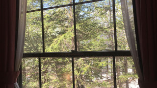 トリプルルーム ガーデンビュー