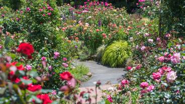 箱根 強羅 月の泉（ハコネ ゴウラ ツキノイズミ） / 2