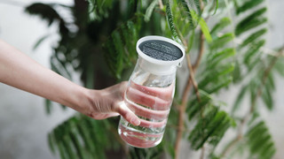 Bunk with River View and Shared Bathroom