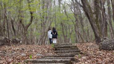 施設の敷地 / 20