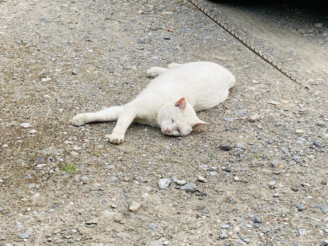 ai__n__23さんの写真 / 1