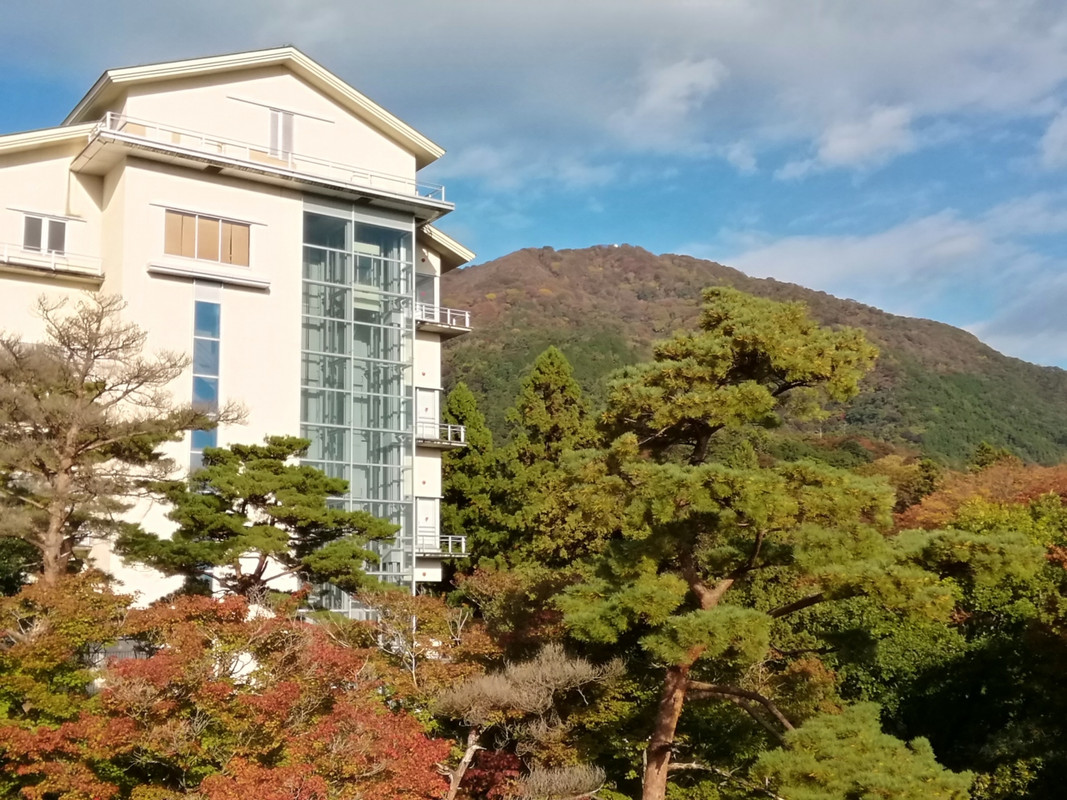 客室からの眺望