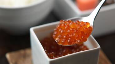 朝食のいくら例 / 7