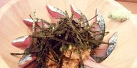 二日市で見つけた！美味しい料理が自慢のおすすめ居酒屋7選